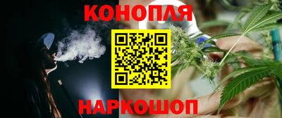 прущие крисы Кингисепп