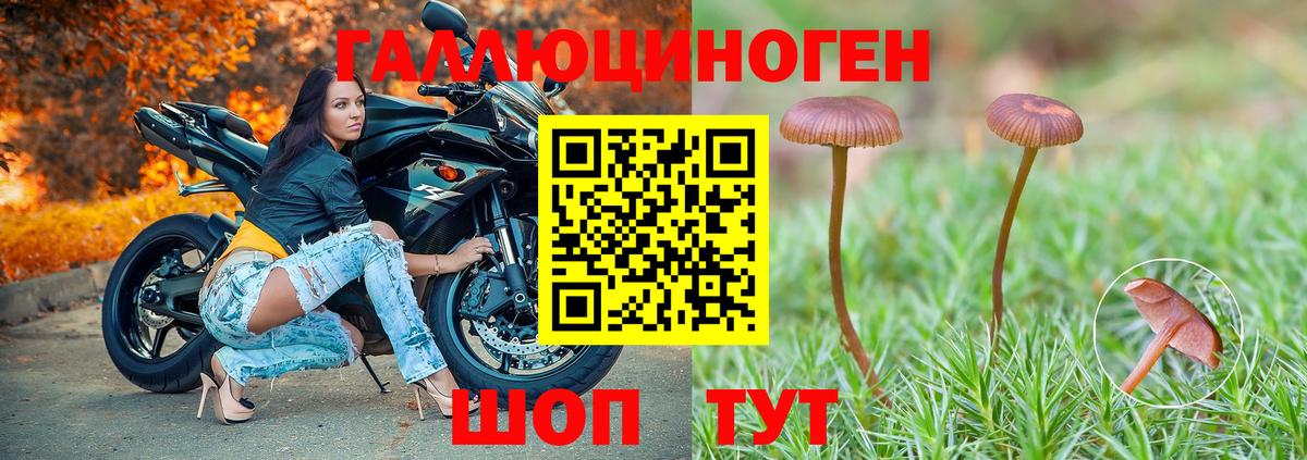 Псилоцибиновые грибы мухоморы  Псилоцибиновые грибы ЛСД  Вход с VPN  Тимашёвск 